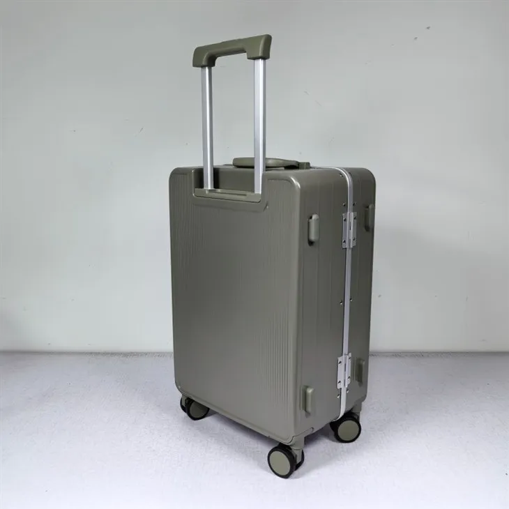 Designer Cabin Luggage high quality
